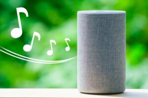 WordPressサイトの分析を極める!Matomo Analyticsプラグインの魅力と活用法