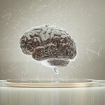 Perplexity AI：革新的な検索エンジンが変える情報アクセスの未来