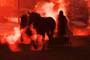 METAHORSEで稼ぐ!競馬ファン必見のPlay to Earnゲーム完全攻略