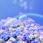 アフィリエイトSEO成功の秘訣：トラフィックと収益を劇的に伸ばす7つの戦略