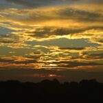 アドセンス収益を10倍にする秘訣！初心者でも実践できる7つの戦略