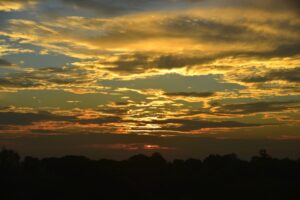 アドセンス収益を10倍にする秘訣!初心者でも実践できる7つの戦略