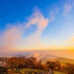 海外向けブログで成功を掴む！収益化のための7つの秘訣と実践テクニック