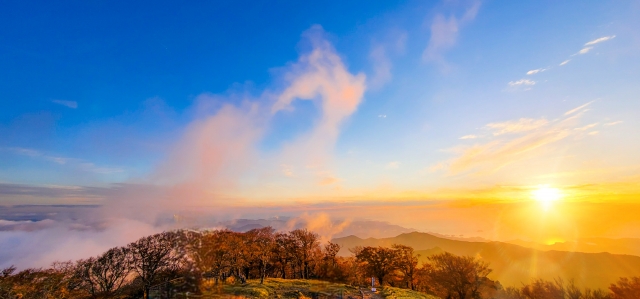 海外向けブログで成功を掴む!収益化のための7つの秘訣と実践テクニック