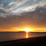 AIが切り拓く未来のビジネス革命：2025年までに知っておくべき7つの驚きの可能性